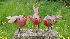 Rustic robin birds - rustic, garden