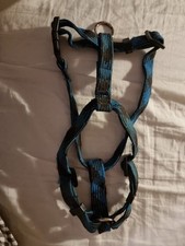 Black & Blue Dog Harness Rear