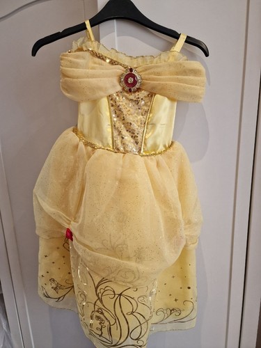 Disney princess dress