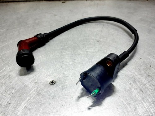 2018 lexmoto fmr ignition - 2018,