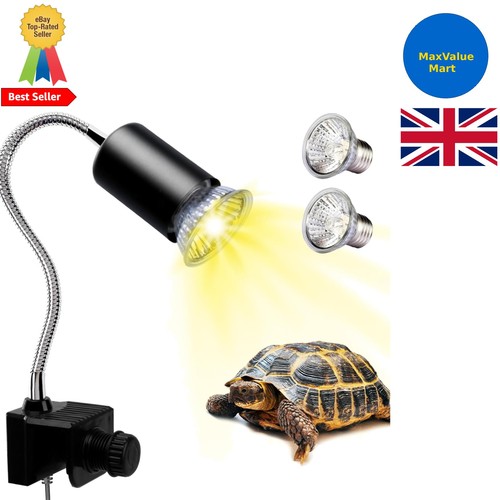 Tortoise heat lamp - tortoise, lamp: