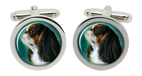 King charles toy - king,