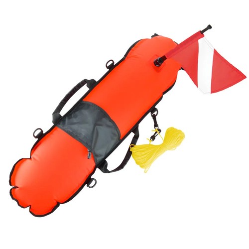 Scuba diving spearfishing - diving,