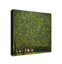 The Park by Gustav Klimt  Wall