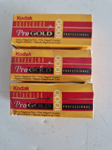 Kodak ektacolour pro gold - gold, 1000