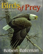 Birds of Prey - An