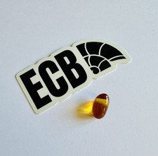 Baltic Amber with Mosquito