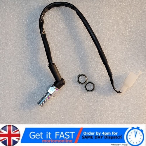 Motorcycle rear hydraulic - rear,