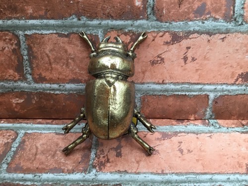 Gold stag beetle hanging - stag,