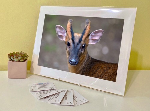 Art print image picture photo - image,