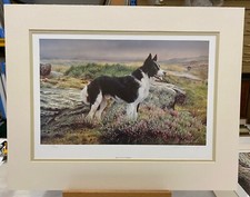 Steven Townsend - Ben -