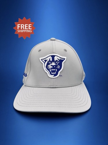 Gsu georgia state university - state,