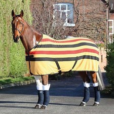 Wessex Shires Tempest Original