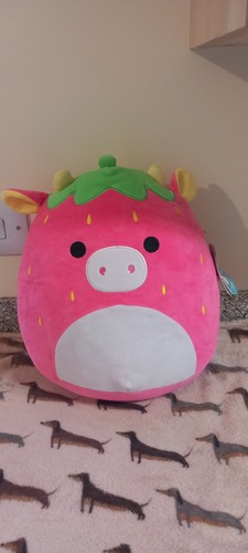 Squishmallow cleary the - squishmallow,