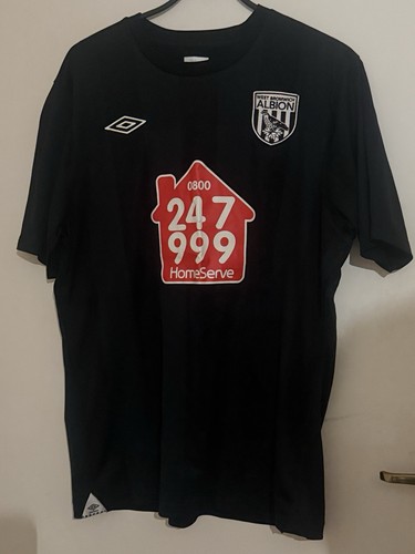 West bromwich albion 2010 - bromwich, 2010-2011