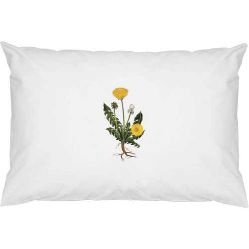 Dandelion botanical - 2, x