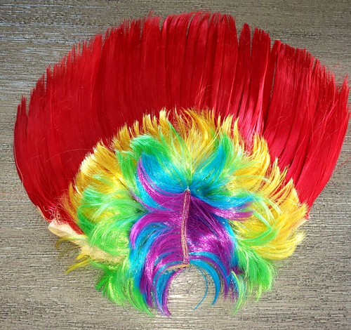 Men women rainbow mohawk - rainbow,