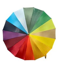 Rainbow Walking Umbrella with