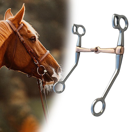 Horse tack shape - tack, h