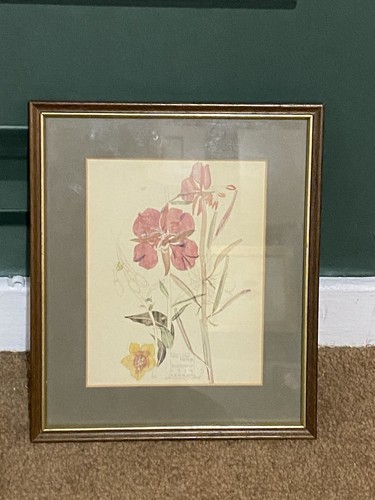 Framed vintage print willow - vintage, “willow