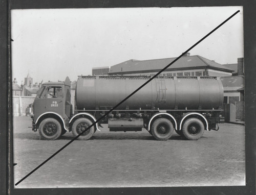 Photograph 20cm 16cm - 20cm, x