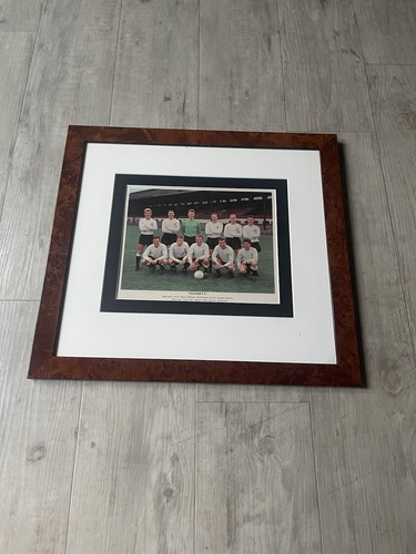 Fulham football picture - fulham,