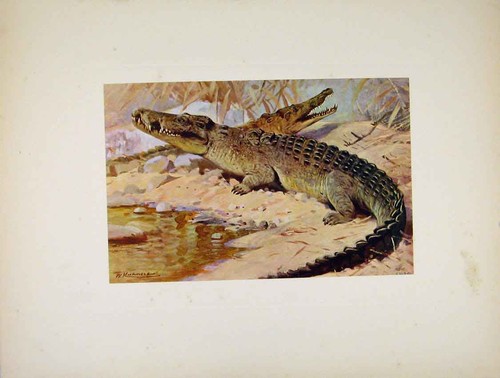 Original old antique - original,