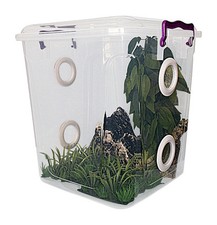 Praying Mantis,Stick