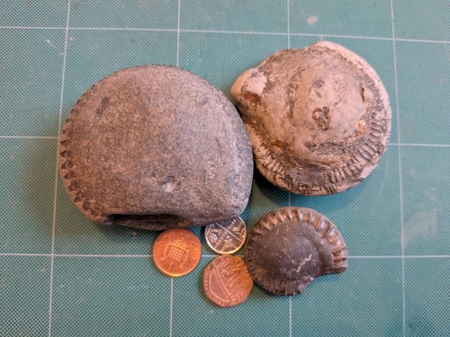 Beautiful natural nodules - nodules, /