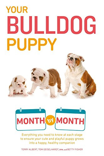 Your bulldog puppy - your, month