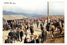 ptc5033 - Cumbria- The busy