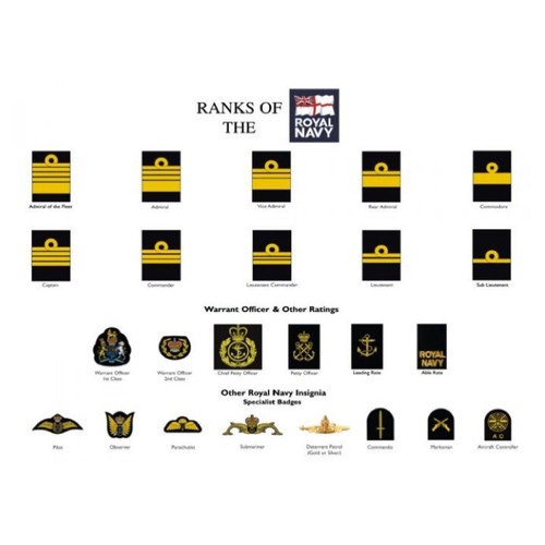 Ranks the royal - of,
