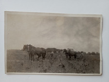 ELKHART INDIANA PUB FARM REAL