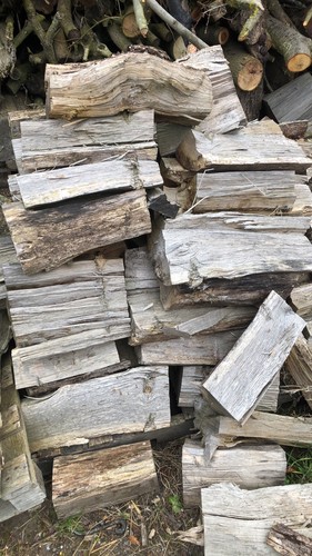 Old dry firewood - yr, priced