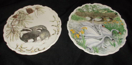 Animal bird royal albert - animal, &