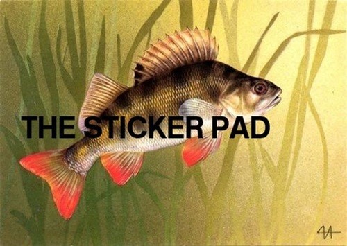 Vinyl sticker perch coarse - vinyl,