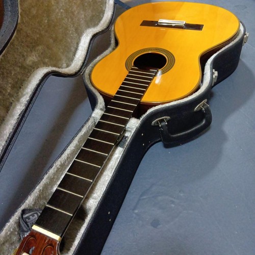 Flamenco acoustic guitar - acoustic,