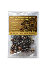 Frozen ramshorn snails - frozen, fish