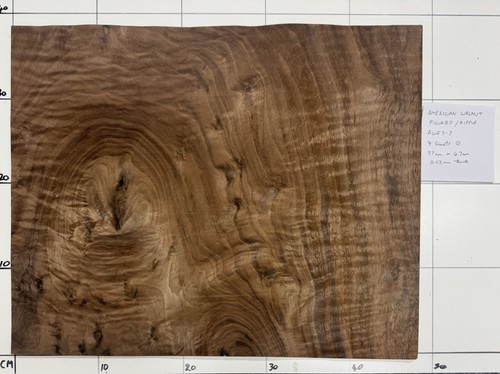 American walnut figured ripple - american,