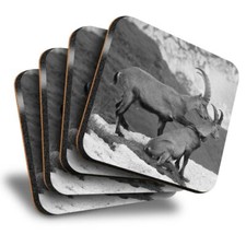 Set of 4 Square Coasters - BW