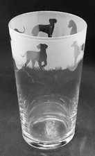 HUNGARIAN VIZSLA Frieze Boxed