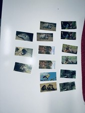 Vintage 1992 PG TIPS/BROOKE BOND TEA CARDS wildlife Natural Neighbours Lot