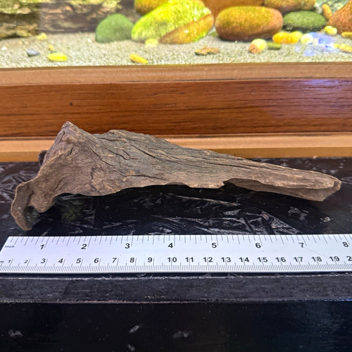 Natural aquarium driftwood - natural,