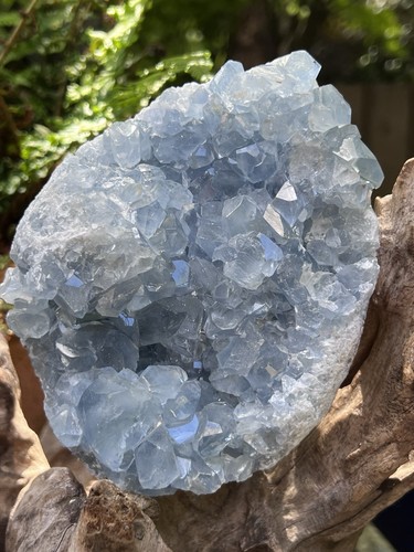 Celestite open cluster geode - cluster,