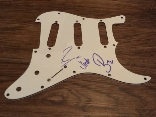 Biffy clyro signed pickguard - biffy,