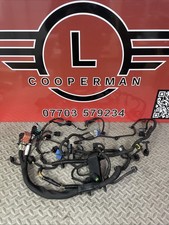 MINI Engine Wiring Loom