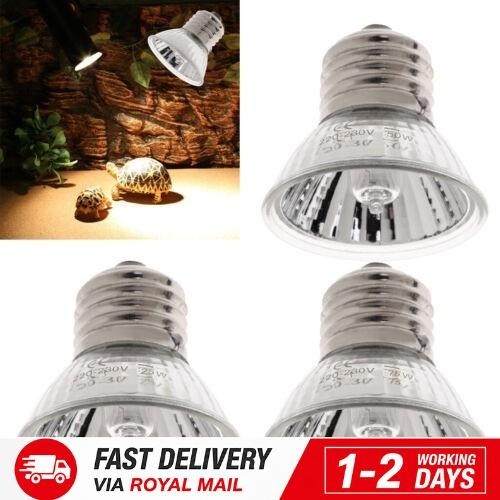 3pcs reptile light - 3pcs, bulb
