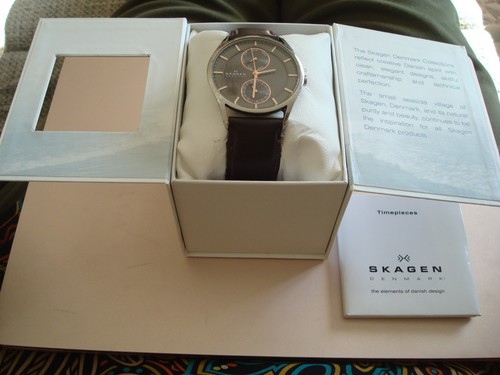 Skagen skw6086 watch - watch, with