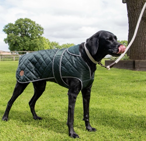 Ancol heritage dog - heritage, quilted