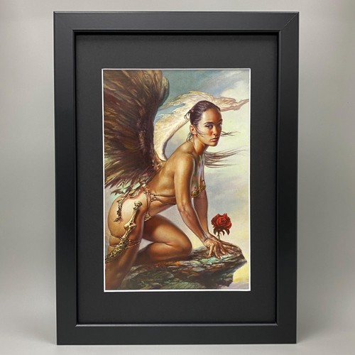 Boris vallejo framed fantasy - vallejo,